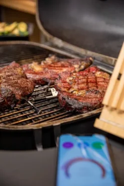 MEATER Block Met 4 Draadloze Thermometers -Oase Velda Winkel 1o5a6817