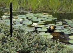 Velda Ultra Protector Reigerverjager -Oase Velda Winkel 866 1200 6530fad76a3d201f233898a046ec7938