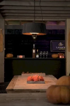 Sunred Heater Artix Hanging 1500 Terrasverwarmer - Zwart -Oase Velda Winkel 900 600 artix c hb lifestyle 01 large