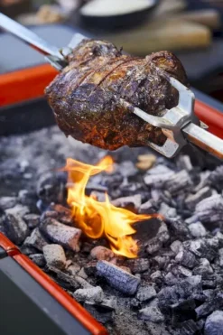 Everdure Fusion Houtskool Barbecue -Oase Velda Winkel 900 600 brand shoot heston blumenthal 5