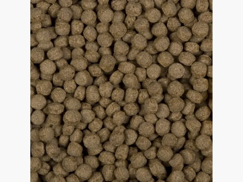 Sanikoi All Season Wheat Germs 6mm - 1300 Gram 4 Sanikoi All Season Wheat Germs 6mm - 1300 Gram - Afbeelding 2