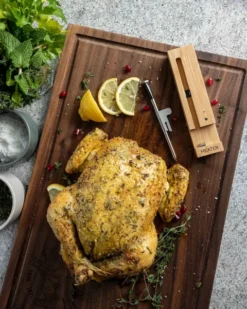 MEATER Original Draadloze Thermometer -Oase Velda Winkel img 8137