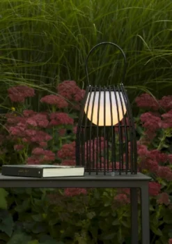 Lucide Fjara Led Tafellamp - Zwart -Oase Velda Winkel lucide fjara led tafellamp zwart 7