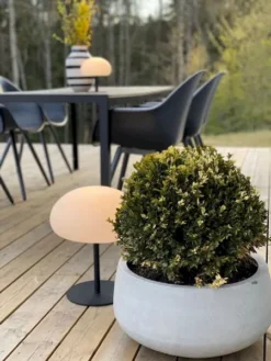 Nordlux Sponge 34 Led Tafellamp -Oase Velda Winkel nordlux sponge 34 led tafellamp 15