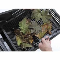 Oase Biosys Skimmer + -Oase Velda Winkel oase biosys skimmer in gebruik