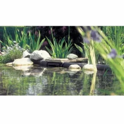 Oase Biosys Skimmer + -Oase Velda Winkel plaatsing oase biosys skimmer