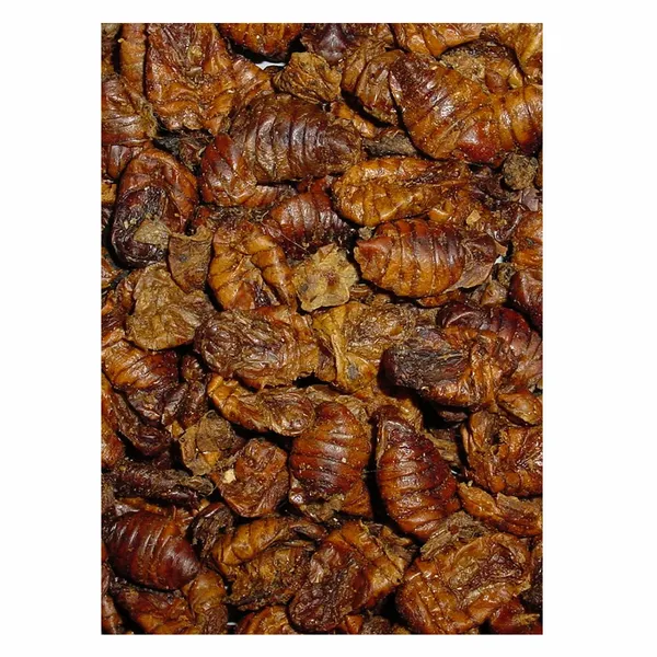 Velda Natuurlijk Koivoer - Zijderupsen 750 Gram 4 Velda Natuurlijk Koivoer - Zijderupsen 750 Gram - Afbeelding 2