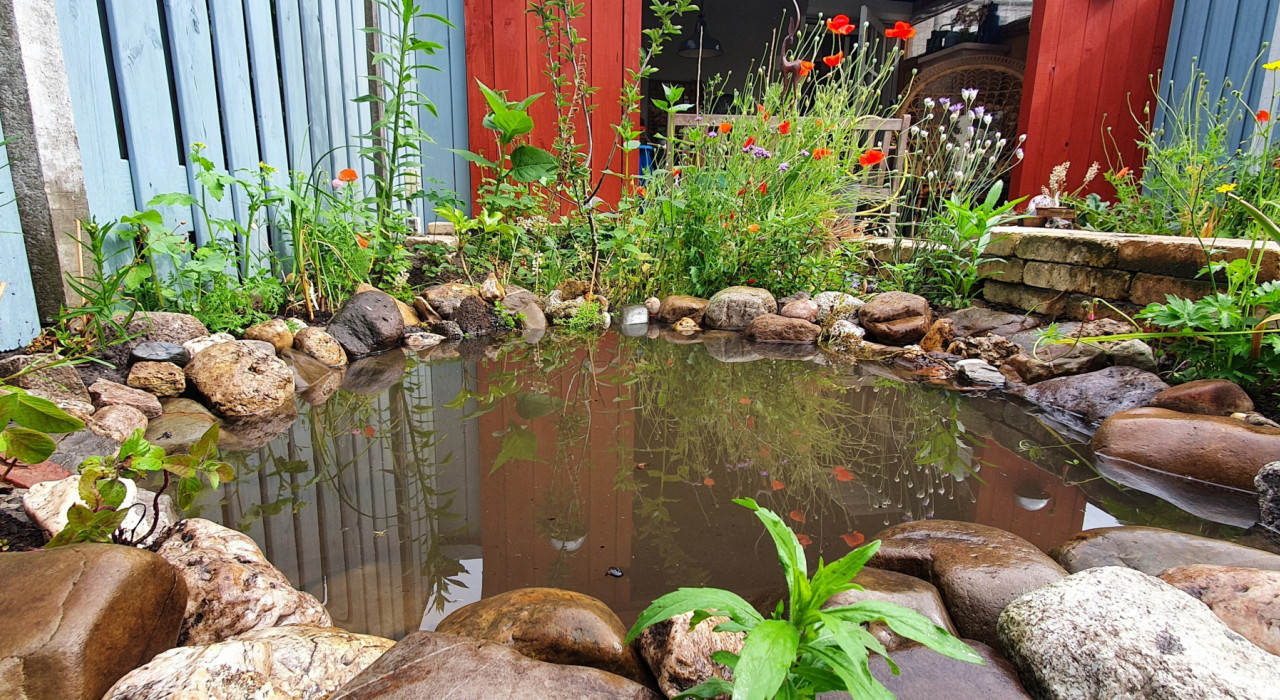 Oase Velda Winkel -Oase Velda Winkel vijver header 1a